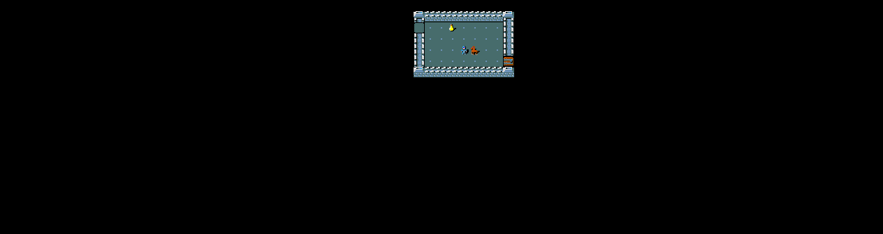 NetHack Environment